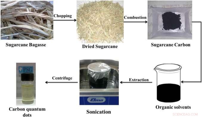 Scientists Discover Sustainable Way to Convert Sugarcane Waste into Carbon Quantum Dots