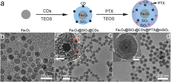 Targeted Nanocarriers for Simultaneous Chemotherapy Delivery and Tumor Imaging