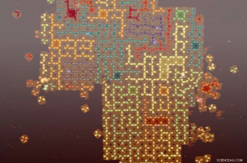 DNA‑Based Random Algorithms: Crafting Molecular‑Scale Disorder