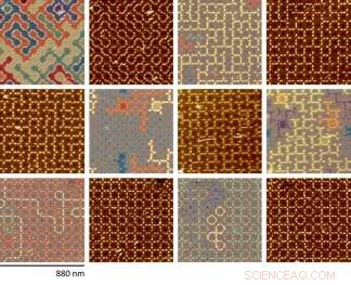 DNA‑Based Random Algorithms: Crafting Molecular‑Scale Disorder