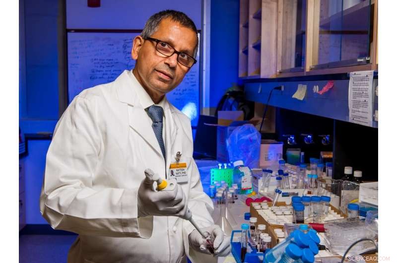 Green Nanotechnology: A Promising Treatment for Liver Cancer