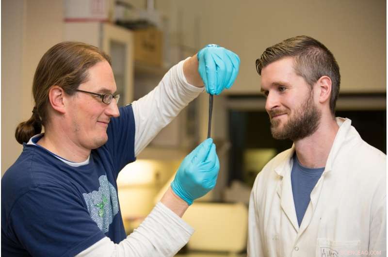 Innovative Graphene Sensors Leveraging Silly Putty for Advanced Sensing Applications