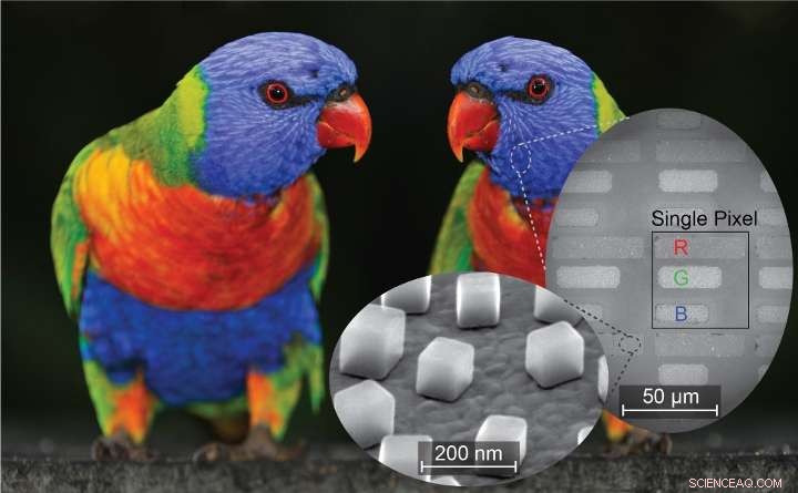 Nanocubes Enable Efficient Color & Infrared Printing and Imaging