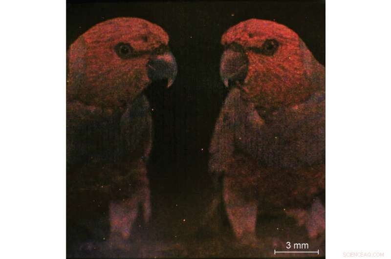 Nanocubes Enable Efficient Color & Infrared Printing and Imaging