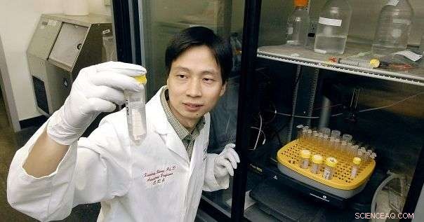 Nanoparticles Offer New Hope Against Treatment-Resistant Breast Cancer