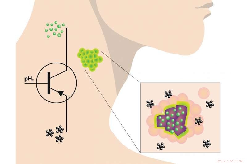 Advanced Nanoprobe Enables Precise Tumor Removal in Mice, Protecting Healthy Tissue