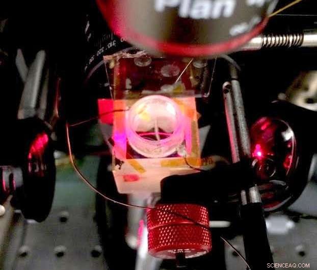 Graphene-Based Imaging Platform Illuminates Heart and Nerve Cell Electrical Signaling