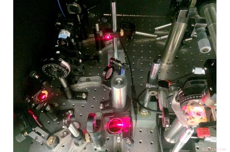 Graphene-Based Imaging Platform Illuminates Heart and Nerve Cell Electrical Signaling