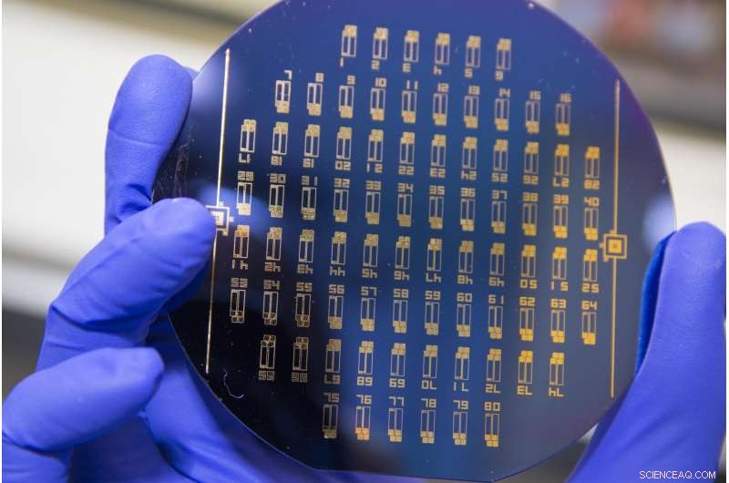 WPI Engineers Create Liquid Biopsy Chip for Early Detection of Metastatic Cancer Cells