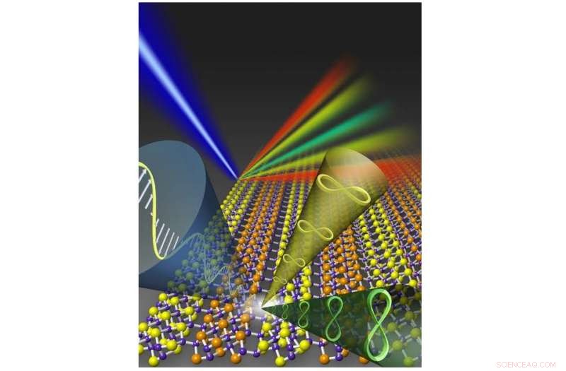 New Pseudo-1D Semiconductor Synthesis Sheds Light on Anisotropic 2D Materials
