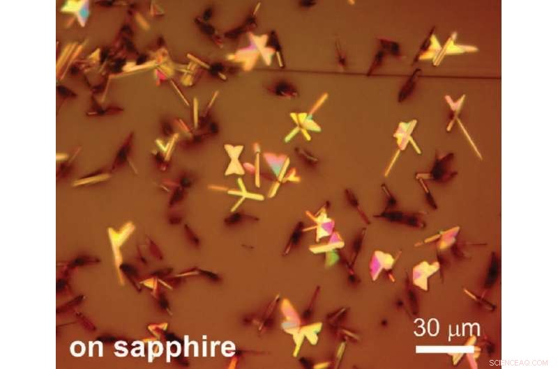 New Pseudo-1D Semiconductor Synthesis Sheds Light on Anisotropic 2D Materials