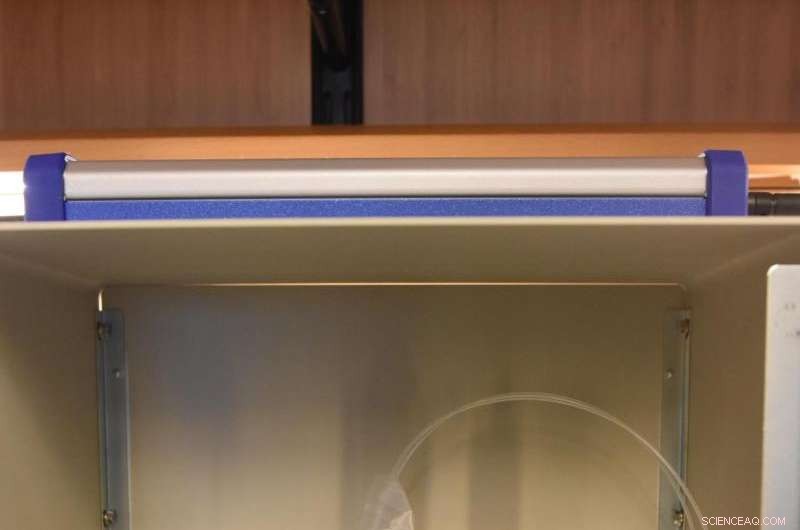 Advanced Dual-Function Sensor for Simultaneous Charge and Mass Detection of Biomolecules