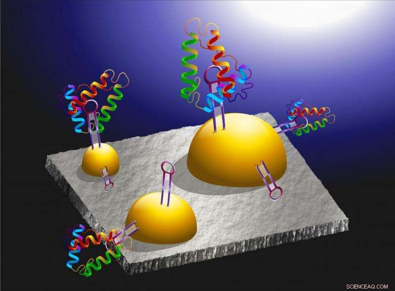 Advanced Dual-Function Sensor for Simultaneous Charge and Mass Detection of Biomolecules