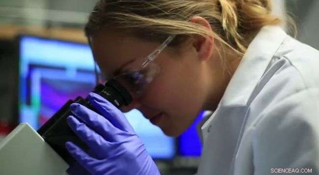 Revolutionary Nanoparticle Breakthrough Could Eliminate Cold Storage for Diagnostic Tests