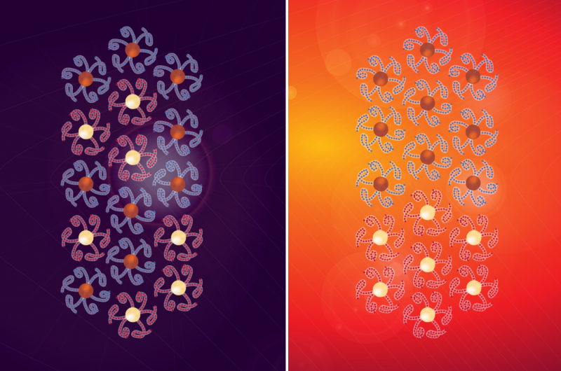 Harnessing Polymers to Precisely Control Nanoparticle Organization