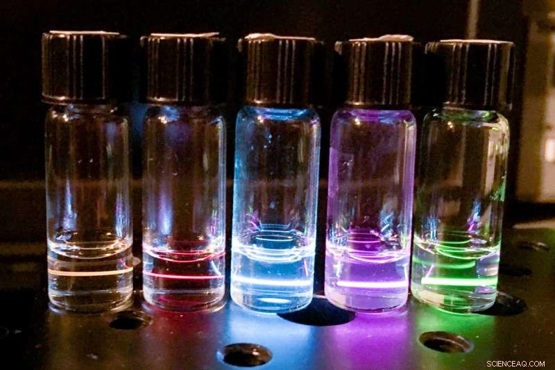 Worms Eat Nanoparticles to Validate Biological Force Sensors