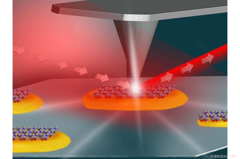 Edge Defects in Nanoparticles Drive Catalytic Performance: Experimental Validation