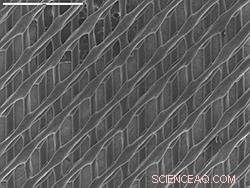 Harnessing 3‑D Printing and Nanotech to Detect Toxic Liquids