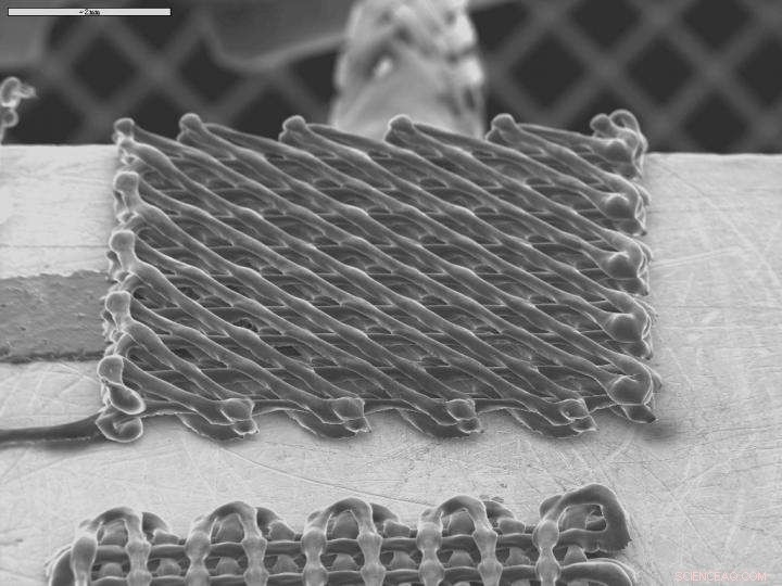 Harnessing 3‑D Printing and Nanotech to Detect Toxic Liquids
