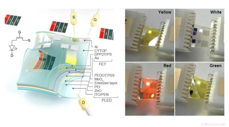 New 2D Semiconducting Polymer Network Paves Way for Transparent, Flexible Electronics