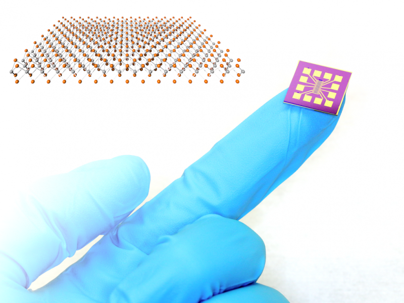 Revolutionary PtSe2 Gas Sensors: Ultra-Fast & Ultra-Sensitive Detection