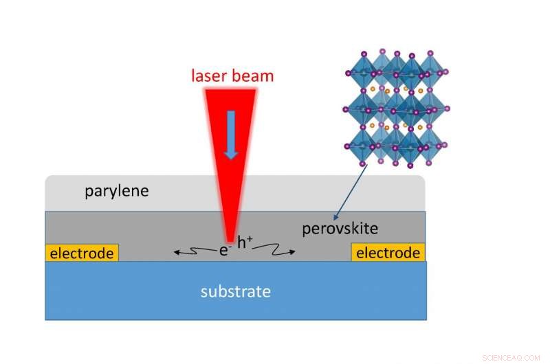 Researchers Directly Measure Perovskite Solar Films  Light-to-Power Conversion Efficiency