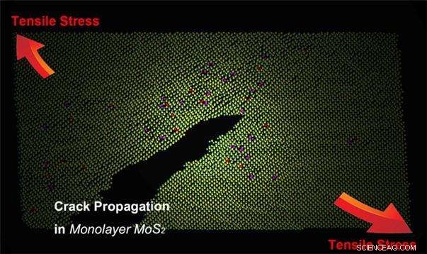 Unveiling the Atomic Mechanics of 2‑D Material Fracture