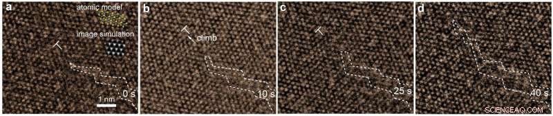 Unveiling the Atomic Mechanics of 2‑D Material Fracture