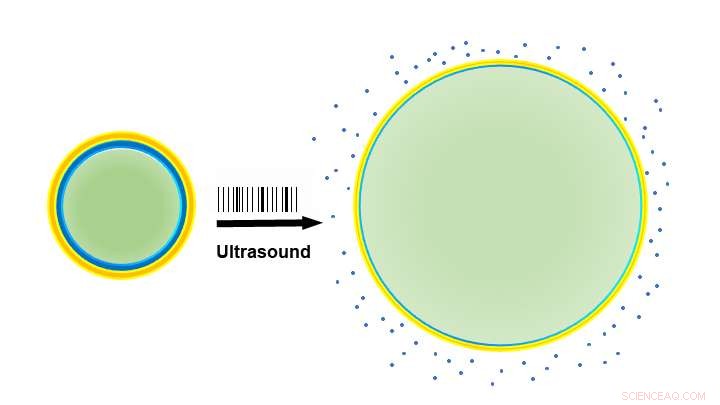 Precision Brain Modulation in Rats Achieved with Noninvasive Ultrasound Pulses