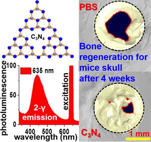 Innovative Stem Cell Technique Shows Promise for Accelerated Bone Repair