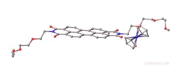 Antioxidants Mimic Graphene Agents, Demonstrating Therapeutic Potential