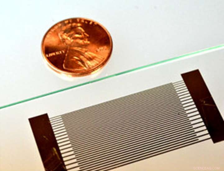 Duke University Engineers Use Acoustic Whirlpools to Detect Tiny Disease Markers