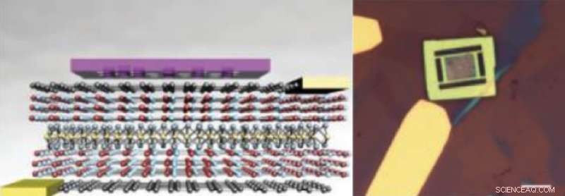 Nanocavities and 2‑D Materials Pave the Way for Efficient Chip‑Scale Light Sources