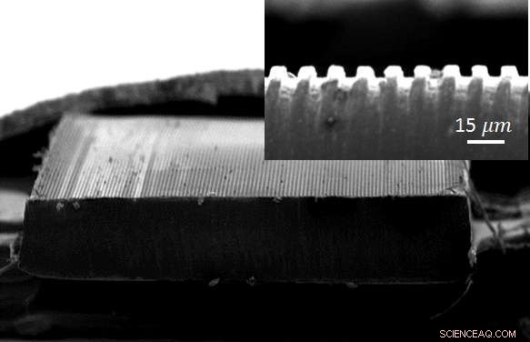 Nanometric Imprinting on Optical Fibers: EPFL s Breakthrough in Neural Guidance