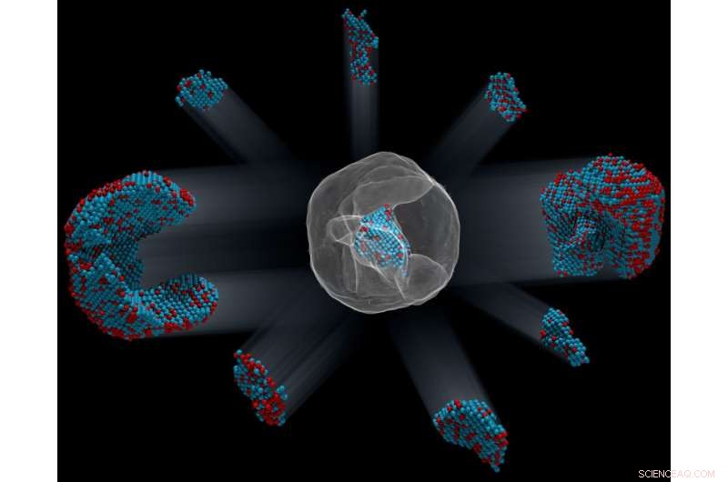 Scientists Map Every Atom in a 23,000-Atom Nanoparticle with Unprecedented 3‑D Precision