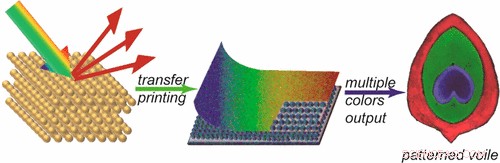 Peacock-Inspired Natural Dyes Offer Sustainable Alternative to Traditional Clothing Colorants