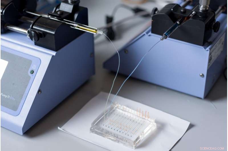 DNA Barcoding Accelerates Rapid Testing of Nanoparticles for Targeted Gene Delivery