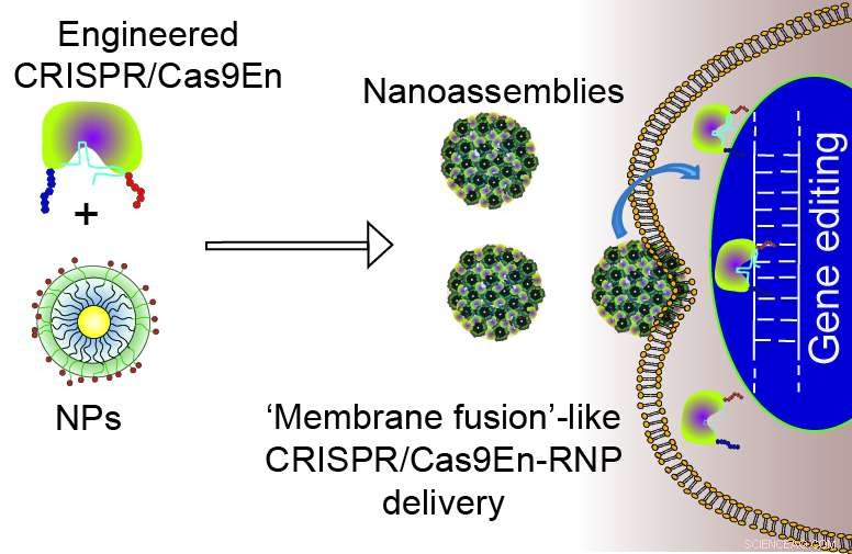 CRISPR Gene Editing: Overcoming Delivery Hurdles to Boost Therapeutic Efficacy
