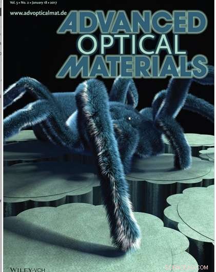 Tarantula Hair Inspires Structural Color with Ultra‑Wide Viewing Angle