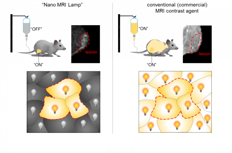 Researchers Launch Innovative Platform to Surpass MRI Contrast Agent Limitations