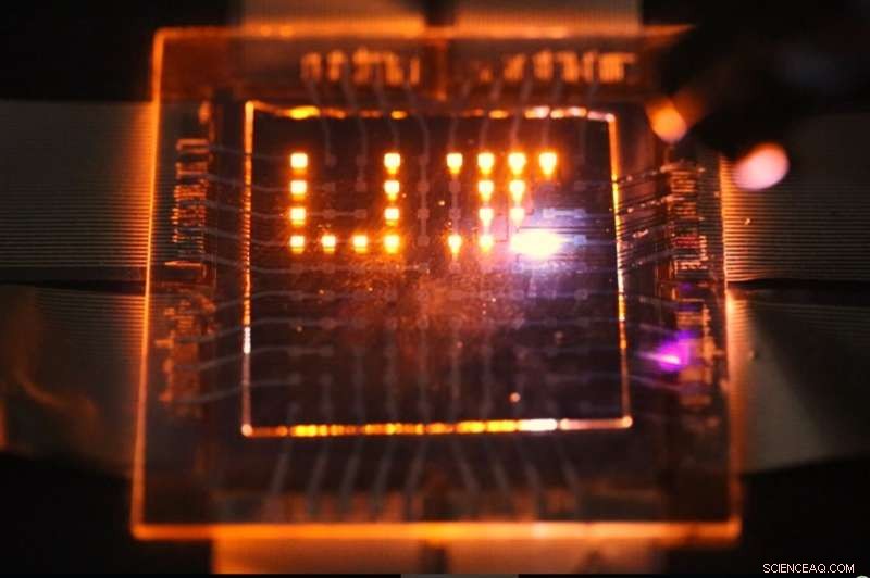 Dual-Function Nanorod LEDs Pave the Way for Multifunctional Displays