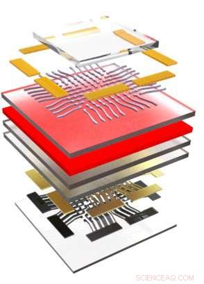 Dual-Function Nanorod LEDs Pave the Way for Multifunctional Displays