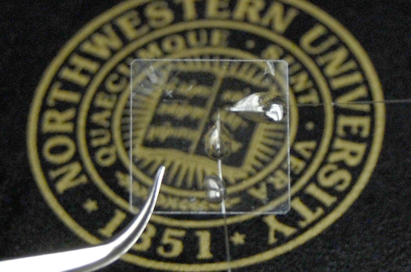 Ultra‑Sensitive Transparent Micro‑Ring Microphones: A Breakthrough in Nanofabricated Contact‑Lens‑Size Devices