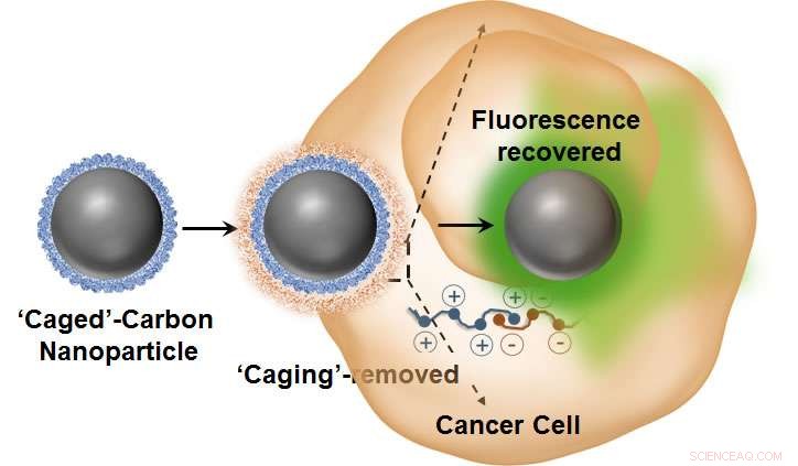 Luminescent Carbon Nanodots Enable Real-Time Tracking of Intracellular Drug Delivery