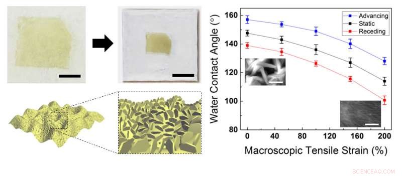 Enhancing Electronic Devices and Surface Coatings with Nano‑Scale Lubricant Optimization