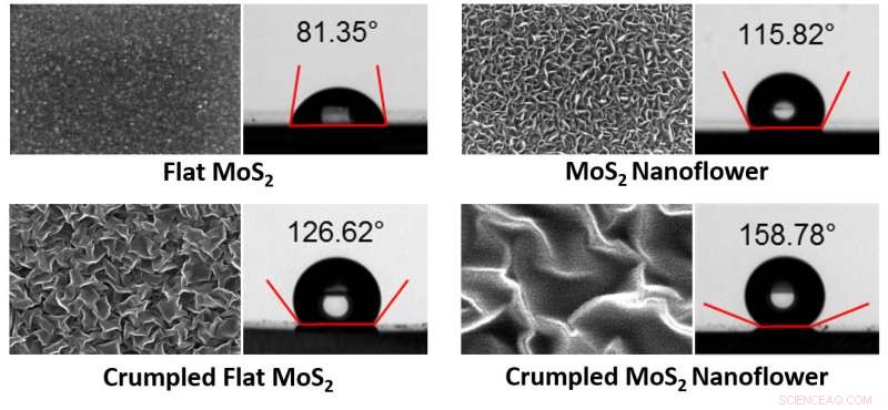 Enhancing Electronic Devices and Surface Coatings with Nano‑Scale Lubricant Optimization