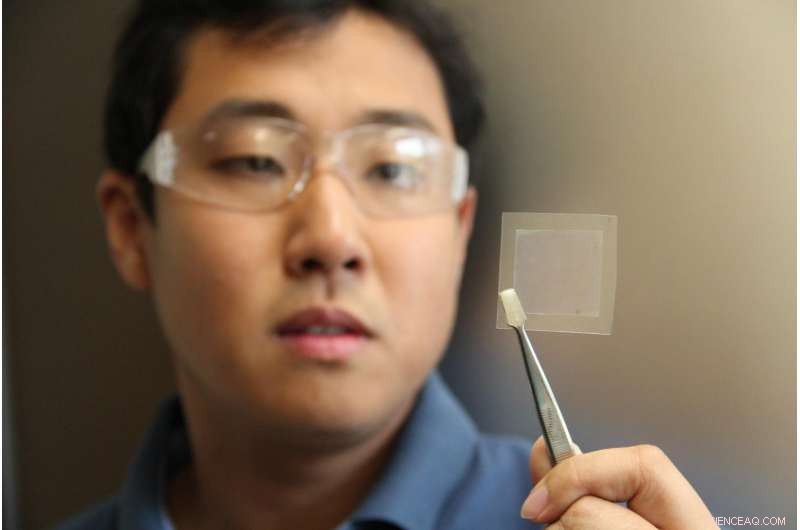 CSIRO Scientists Produce Superior Graphene Using Soybeans