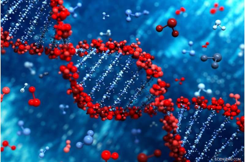 Harnessing DNA for Cutting-Edge Nanoelectronics