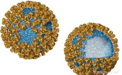 Harnessing Virus‑Like Nanoparticles for Targeted Cancer Drug Delivery