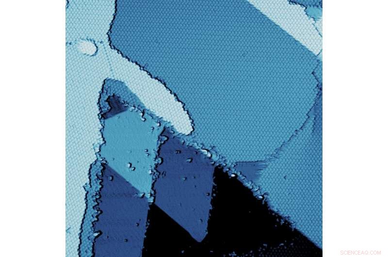 Serendipity Reveals the Promising Potential of Borophene